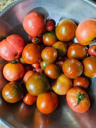 홍&이님의 자유주제 · 자유게시판 작성글 사진