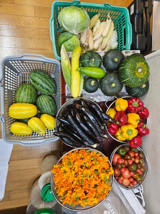 홍&이님의 자유주제 · 자유게시판 작성글 사진