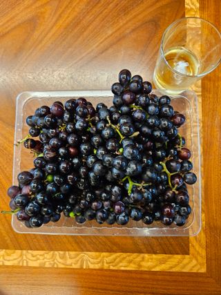 홍&이님의 자유주제 · 자유게시판 작성글 사진