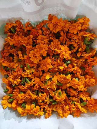 홍&이님의 자유주제 · 자유게시판 작성글 사진