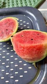 팜모닝 자유주제·자유게시판 게시글 이미지