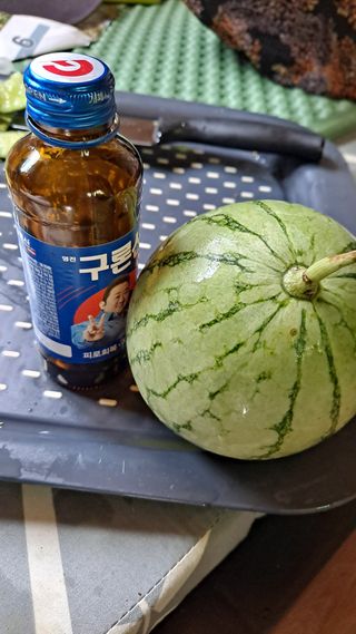 귀농2년/지성훈님의 자유주제 · 자유게시판 작성글 사진