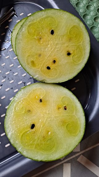 귀농2년/지성훈님의 자유주제 · 자유게시판 작성글 사진