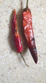 팜모닝 고추·병해충상담 게시글 이미지