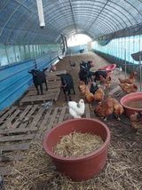 팜모닝 · 게시글 이미지