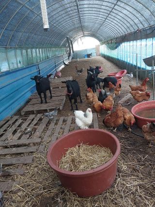 이옥신님의 작성글 사진