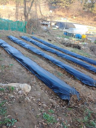 박상현님의 나의 농사 필수품 소개하기 · 참여글 작성글 사진