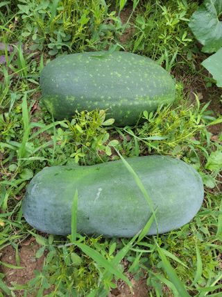 원빈님의 자유주제 · 자유게시판 작성글 사진