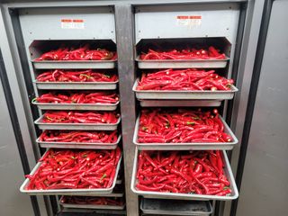 헐크님의 고추 · 영농일지 작성글 사진