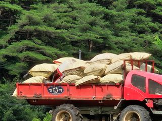 정용일님의 나의 농사 필수품 소개하기 · 참여글 작성글 사진