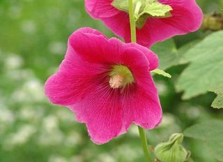 행복농장님의 자유주제 · 자유게시판 작성글 사진