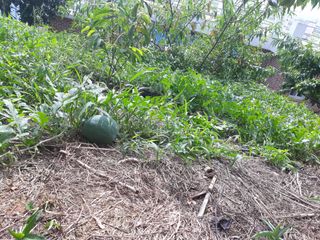 소각섭님의 자유주제 · 사진전 작성글 사진