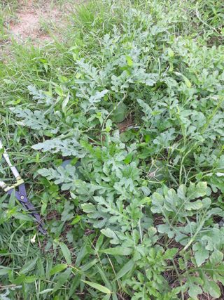 소각섭님의 자유주제 · 사진전 작성글 사진