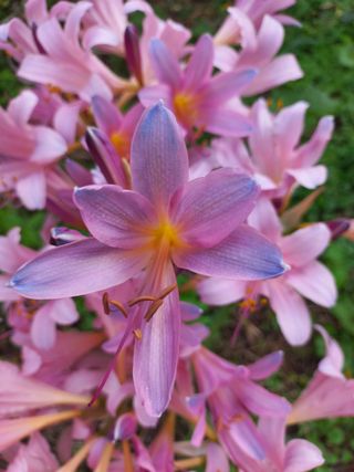 손천영님의 자유주제 · 자유게시판 작성글 사진