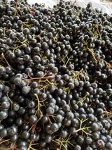 팜모닝 나의 농사 필수품 소개하기·참여글 게시글 이미지