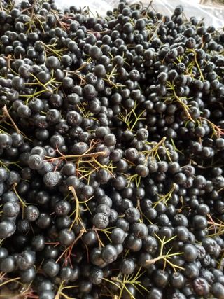 GH장수기호농님의 나의 농사 필수품 소개하기 · 참여글 작성글 사진