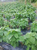 팜모닝 자유주제·사진전 게시글 이미지