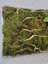 팜모닝 · 게시글 이미지