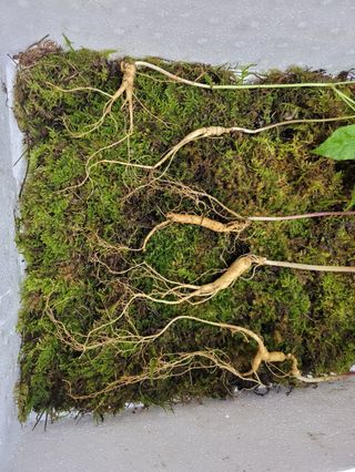 김봉호님의 작성글 사진