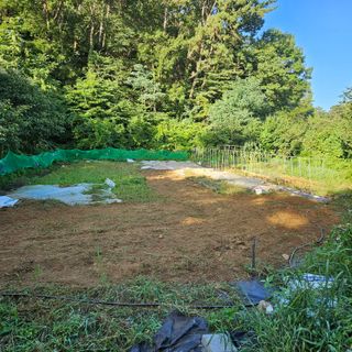 이영재님의 배추 · 일상 작성글 사진