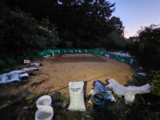 이영재님의 배추 · 일상 작성글 사진