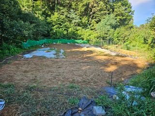 이영재님의 배추 · 일상 작성글 사진