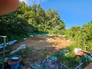 이영재님의 배추 · 일상 작성글 사진