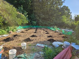 이영재님의 배추 · 일상 작성글 사진