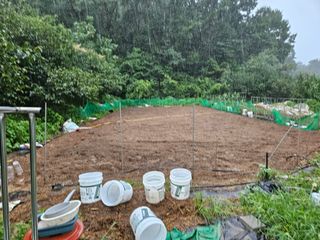 이영재님의 배추 · 일상 작성글 사진