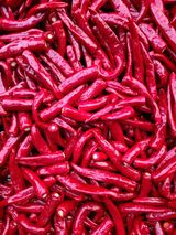 팜모닝 고추·수확 게시글 이미지