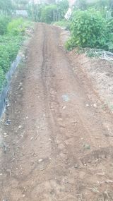 팜모닝 배추·토양준비 게시글 이미지