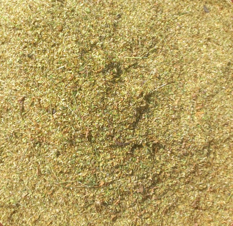 장터 상품 [냉이씨 판매] 썸네일