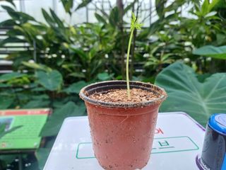 강생아빠님의 기타작물 · 자유게시판 작성글 사진