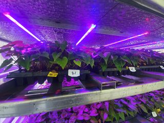 김동수님의 자유주제 · 자유게시판 작성글 사진