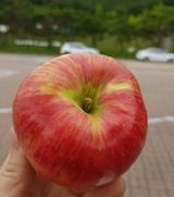 팜모닝 · 게시글 이미지