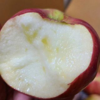 알 수 없음님의 작성글 사진