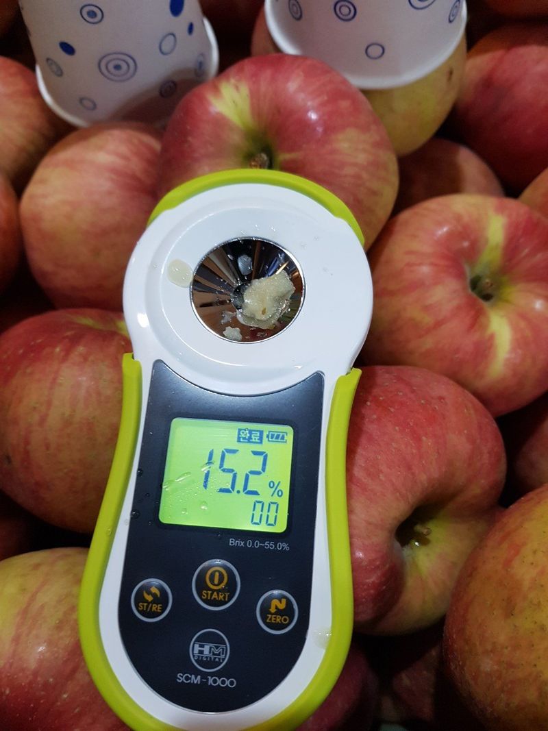 알 수 없음님의 장터 판매 상품 [달달  아삭한맛!! 홍로사과   5키로  13ㅡ15과 로얄과] 첨부 사진