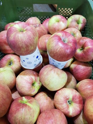 알 수 없음님의 작성글 사진