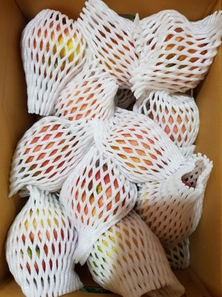 알 수 없음님의 작성글 사진