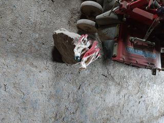 신무길님의 농기계정보 · 자유게시판 작성글 사진