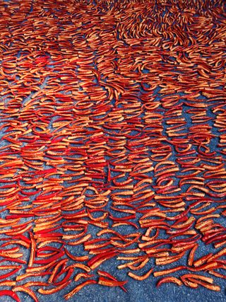 오문섭님의 고추 · 영농일지 작성글 사진