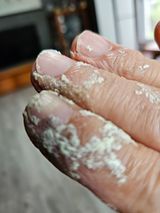 팜모닝 자유주제·자유게시판 게시글 이미지