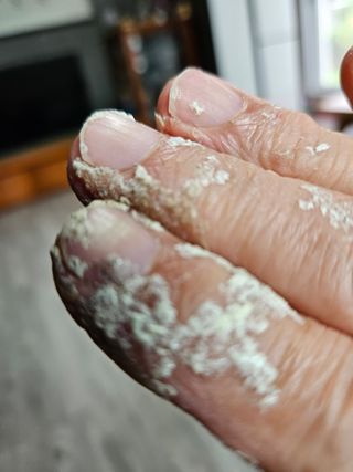 박석춘님의 자유주제 · 자유게시판 작성글 사진