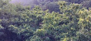 오순남님의 자유주제 · 자유게시판 작성글 사진