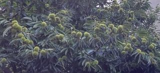 오순남님의 자유주제 · 자유게시판 작성글 사진