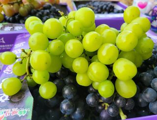 해민농장님의 포도 · 자유게시판 작성글 사진