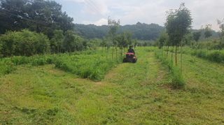 황영출님의 기타작물 · 영농일지 작성글 사진