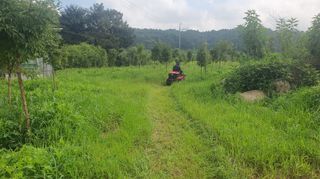 황영출님의 기타작물 · 영농일지 작성글 사진