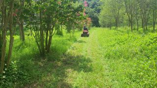 황영출님의 기타작물 · 영농일지 작성글 사진