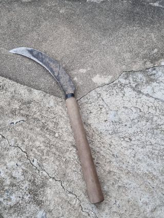 농부쑤니님의 나의 농사 필수품 소개하기 · 참여글 작성글 사진